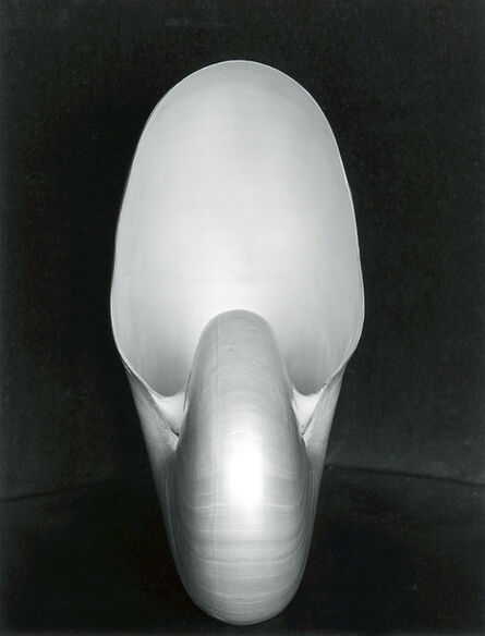 Edward Weston, ‘Shell ~ 1S’, 1927