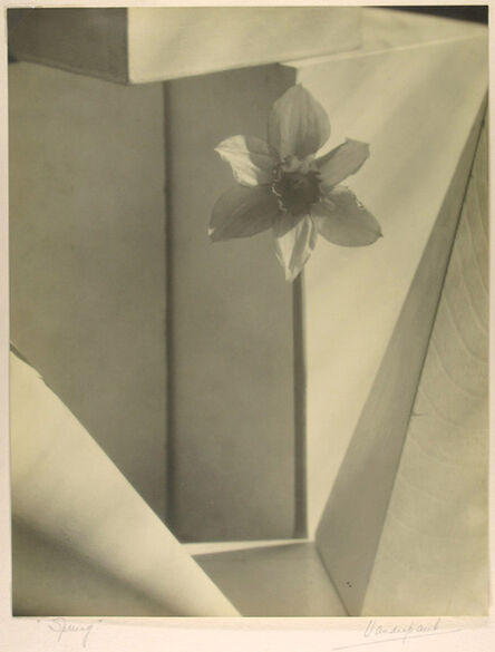 John Vanderpant, ‘Spring’, ca. 1936
