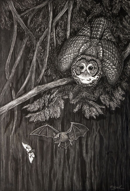 Tony Angell, ‘Northern Spotted Owl’, 2015