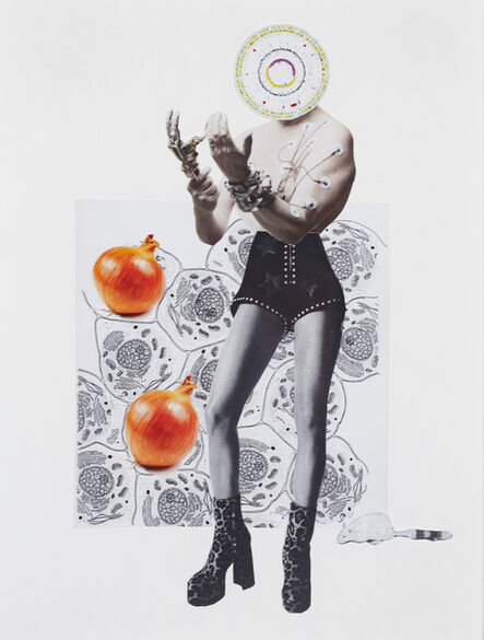 Margaret Hart, ‘Untitled Onion’, 2018-present