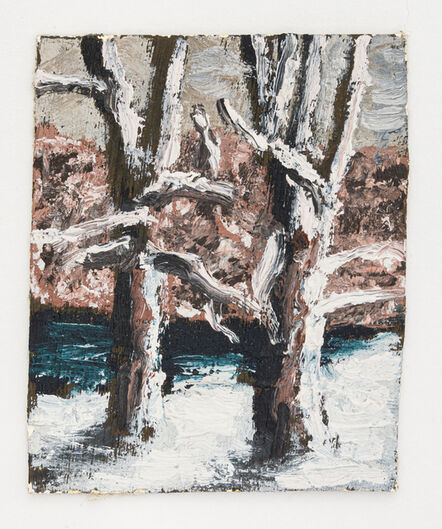 Jorge Diezma, ‘Snow trees’, 2019