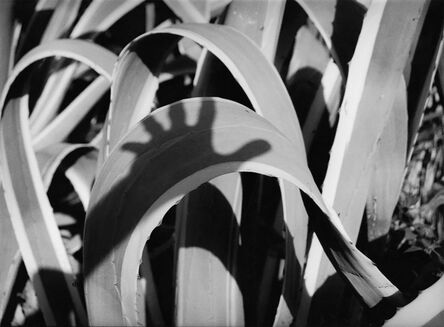 Res, ‘Agave’, 1986