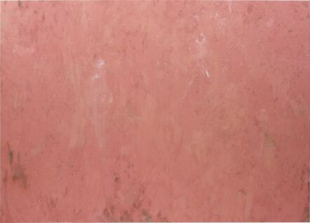 Phoebe Collings-James, ‘Flesh Tint Painting No.4’, 2013