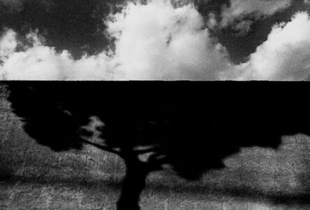 Jehsong Baak, ‘Tree Shadow and Clouds’, 1999