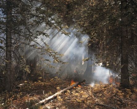 Laura McPhee, ‘Understory Flareups, Fourth of July Creek, Valley Road Wildfire, Custer County, Idaho, 2005 AP’
