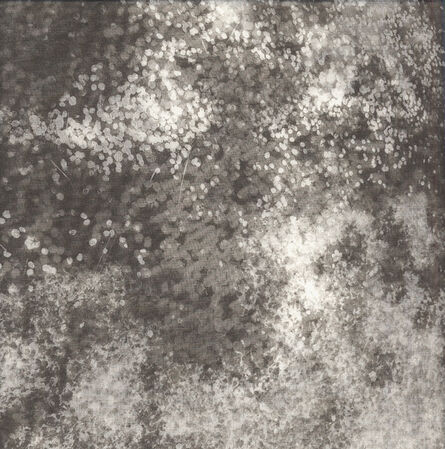 Chaco Terada, ‘Star Dust VI’, 2014