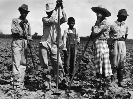 Marion Post Wolcott, ‘Men and women working in a field, Bayou Bourdeaux Plantation, Natchitoches, LA’, 1940