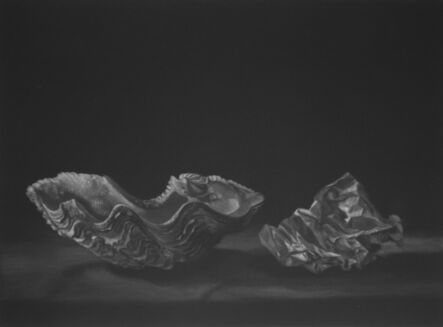 Judith Rothchild, ‘Deux Coquilles’, 2011