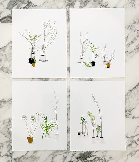 Carrie Marill, ‘House Plants (Suite of 4)’, 2020