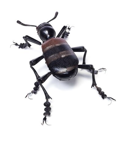 Edouard Martinet, ‘Scarabe Raye (Striped brown beetle)’, 2019