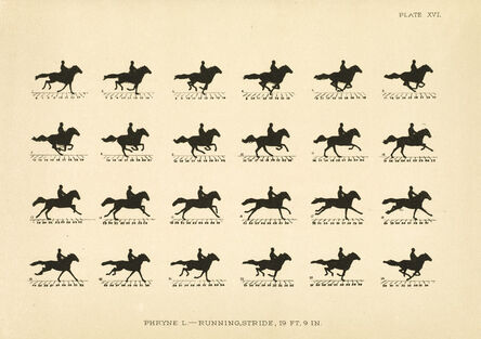 Eadweard Muybridge, ‘The Horse in Motion as Shown by Instantaneous Photography with a Study on Animal Mechanics..’, 1881-1882