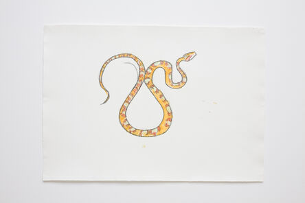 Joan Jonas, ‘Orange Snake #2’, 2006