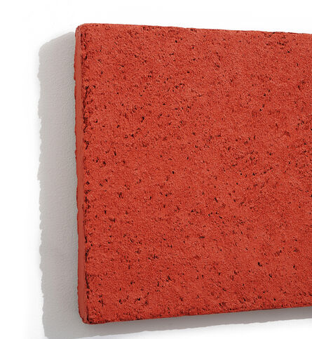 Brian Blanchflower, ‘Detail - Concretion 1:5.6 (coral)’, 2007