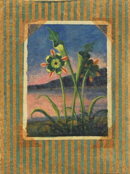 Ruth Bauer, ‘Bag and Pitcher Plants’, 2013