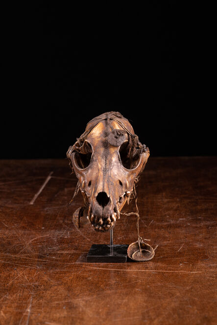 Unknown Artist, ‘Dayak People,Borneo.Ceremonial Decorated Dog Skull.’, First half 20th C