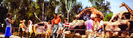 Peter Gales, ‘Colorama 309, San Diego Zoo, California’, Displayed 7/15/68-8/5/68