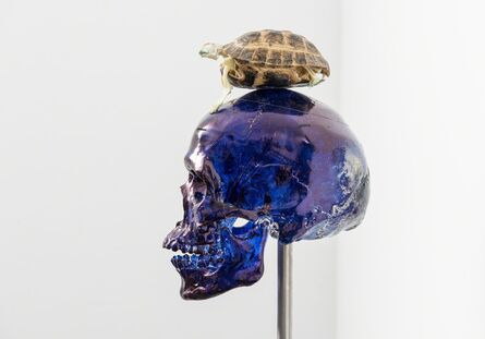 Jan Fabre, ‘ Skull with Turtle’, 2017