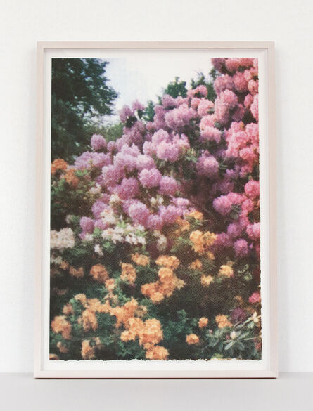Elizabeth Corkery, ‘Pink/Orange Florals’, 2013