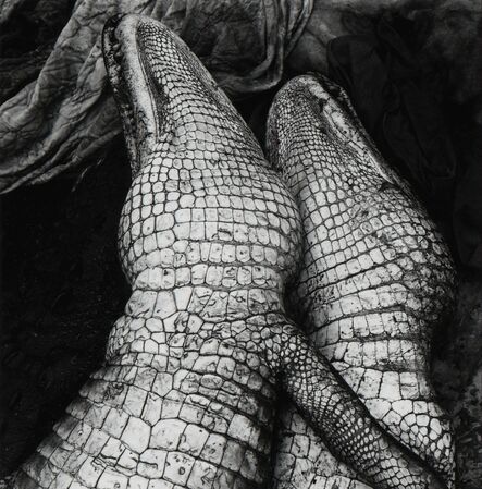 Debbie Fleming Caffery, ‘Gator Love’, 1995