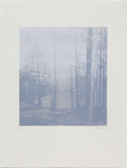 Paul Winstanley, ‘Landscape 42’, 2010