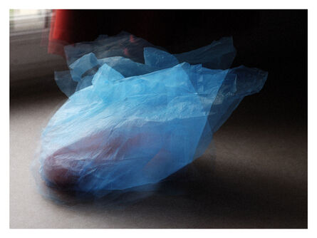 Daniel Blaufuks, ‘Um saco de plástico’, 2010