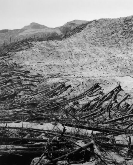 Frank Gohlke, ‘Blowdown reveals boundaries of previous clearcut, 9.5 miles NE of Mt. St. Helens, Wash.’, 1982