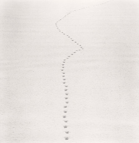 Michael Kenna, ‘Tracks in Snow, Biei, Hokkaido, Japan’, 2013