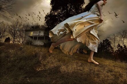 Tom Chambers, ‘Winged Migration’, 2009