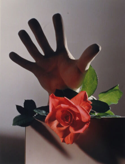 Horst P. Horst, ‘Rose with a Cast of Michelangelo's Hand’