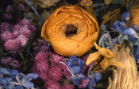 Nobuyoshi Araki, ‘Flower Rondeau’, 1997/2020