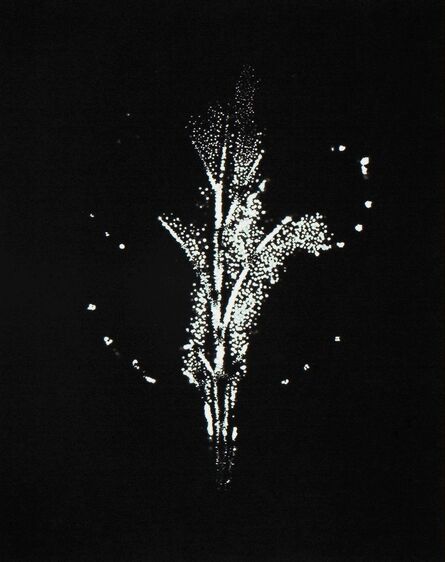Wataru Yamamoto, ‘A Chrysanth Leaf 1, from the series "Leaf of Electric Light"’, 2012
