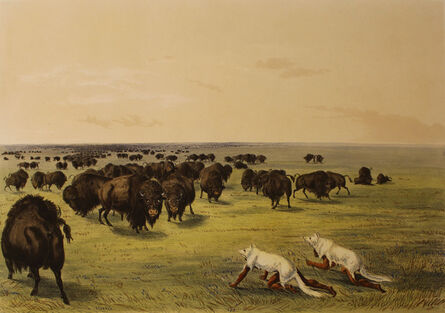 George Catlin, ‘Buffalo Hunt Under the White Wolf Skin’, 1844
