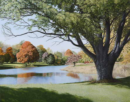 Anita Mazzucca, ‘The Pond in Colts Neck Park’, 2016