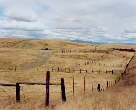 Sharon Lockhart, ‘Cattle Ranch, Tulare County’, 2011