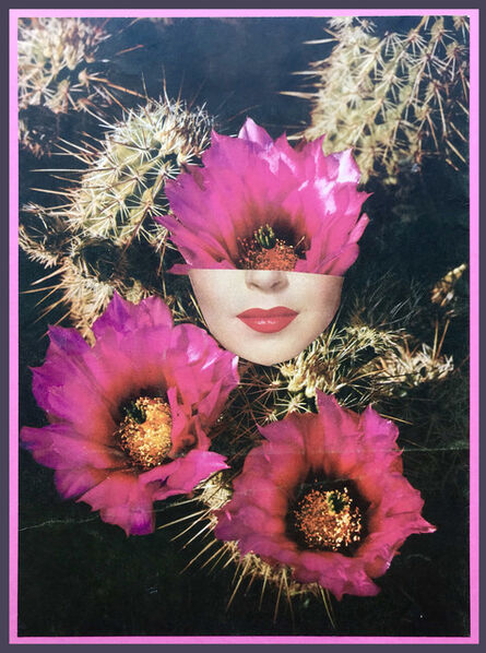 Eva Lake, ‘Cactus Flower No. 22’, 2020