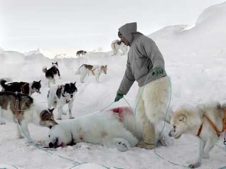 Henrik Saxgren, ‘Markus with Polar Bear and Dogs’, 2016