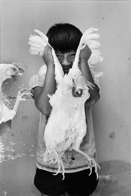 Graciela Iturbide, ‘El Gallo (The Rooster), Juchitán, Oaxaca’, 1986