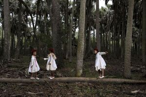 Three girls in sabal palm forest III