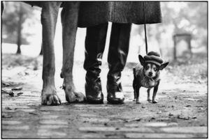 New York City, 1974 (dog legs)