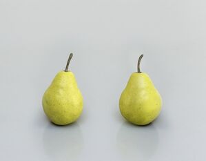 still.life. (two pears)