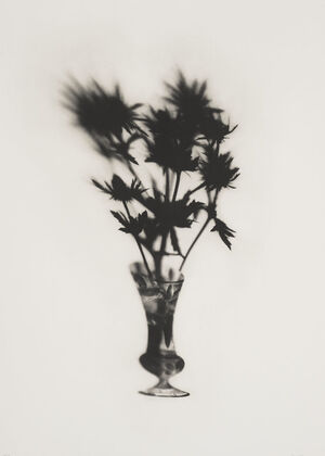 Cut Glass and Thistles