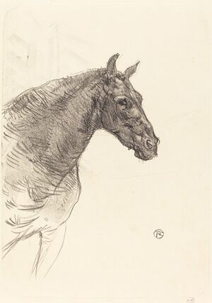 Old Horse (Le vieux cheval)