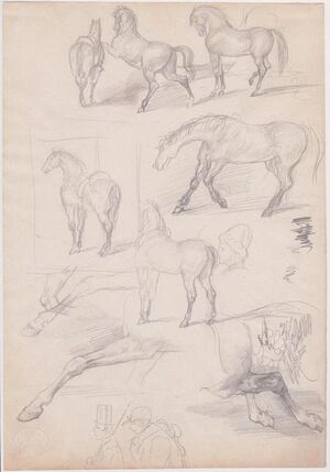 Studies of Horses and Riders