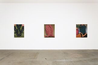 Altered States, installation view