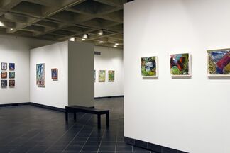 Ying Li: Geographies, installation view