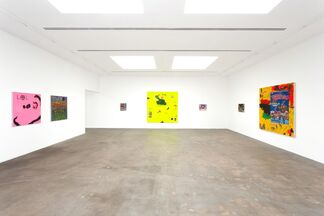 Mixed Emotions, installation view
