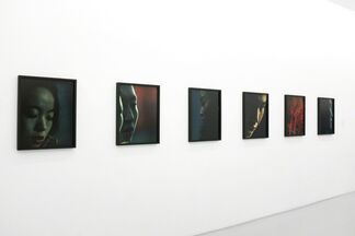 Approximate Joy, installation view