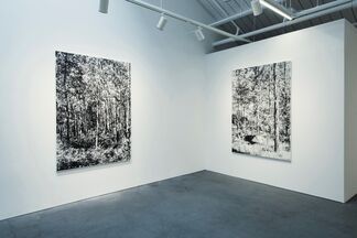 Glass Summers, installation view