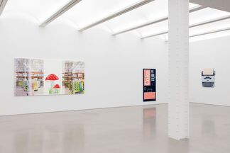 "THE SECRET HISTORY OF EVERYTHING", installation view