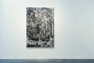 Glass Summers, installation view